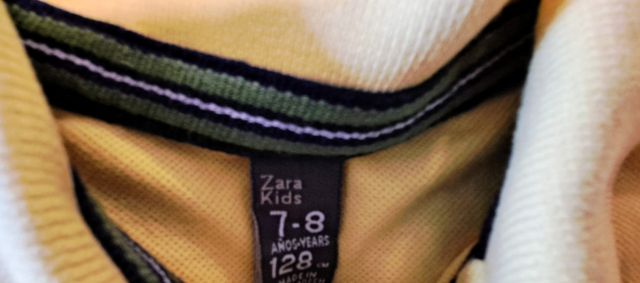 Lote de camisetas Polo. Polo Ralph, Zara y Tommy