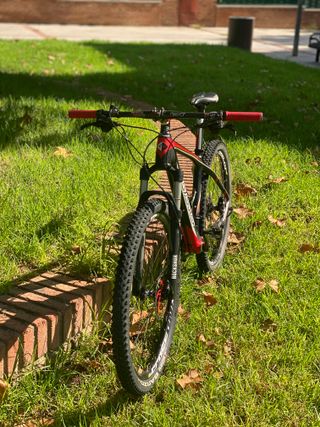 Bicicleta Savannah Carbono M