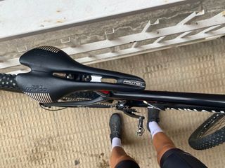 Bicicleta Savannah Carbono M