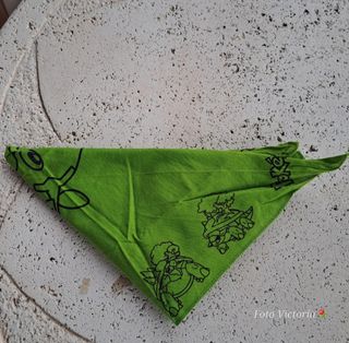 Pañuelo Pokémon Verde