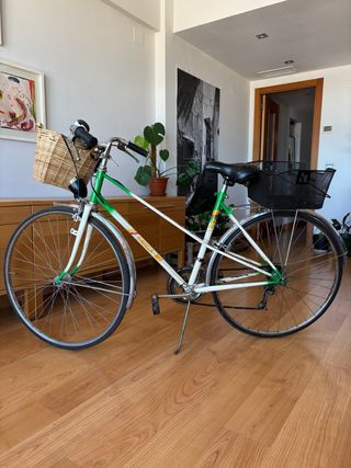 Bicicleta Gazelle Vintage
