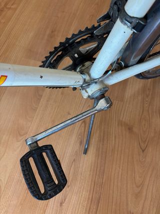 Bicicleta Gazelle Vintage
