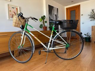 Bicicleta Gazelle Vintage