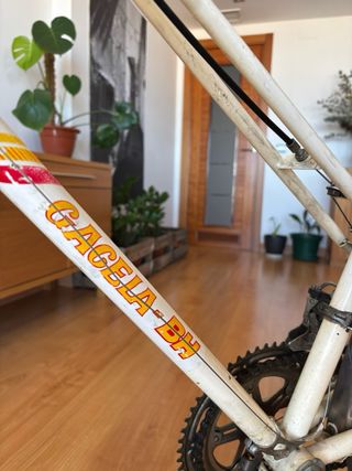 Bicicleta Gazelle Vintage