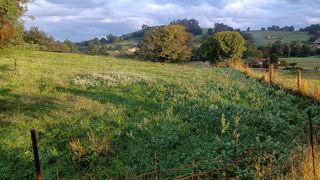 Terreno 1600 m²