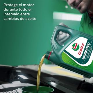 Ford Castrol Magnatec 0W30 D 5L