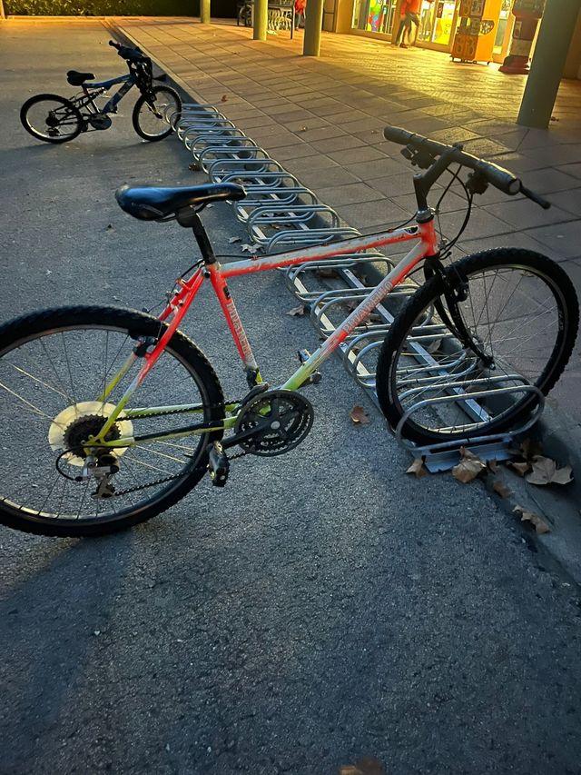 Bicicleta Pinarello Vintage