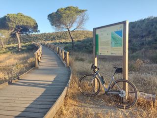 Bicicleta Gravel Carbono Canyon