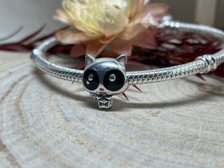 ✨ Charm Mapache