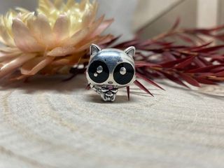 ✨ Charm Mapache