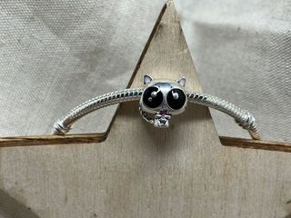 ✨ Charm Mapache