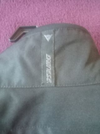 Chaqueta de moto Dainese.
