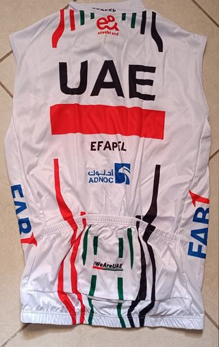 Gilet ciclismo.