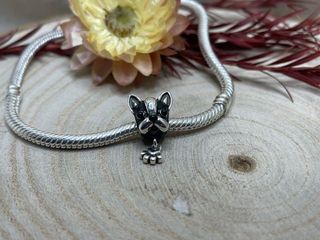 ✨ Charm Frenchie Bulldog Francés