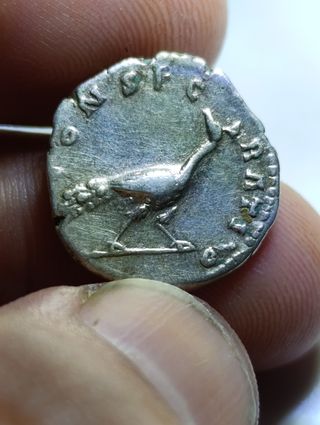Moneda Romana Emperatriz Diva Faustina