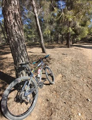 Bicicleta Mavic negociable. Con pedales autos