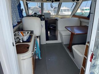 Barco Rodman 1100