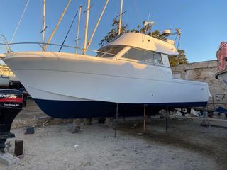 Barco Rodman 1100