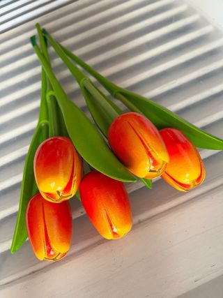 5 Tulipanes de madera Keukenhof 33cm