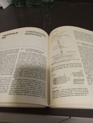 Física - Texto para estudiantes