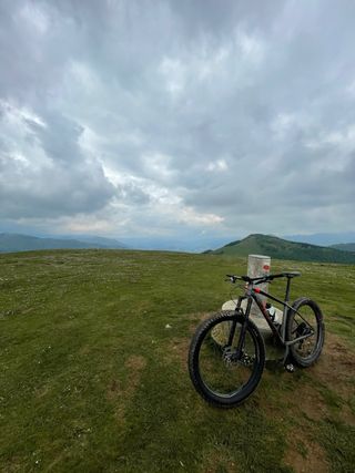 Specialized Fuse 2019