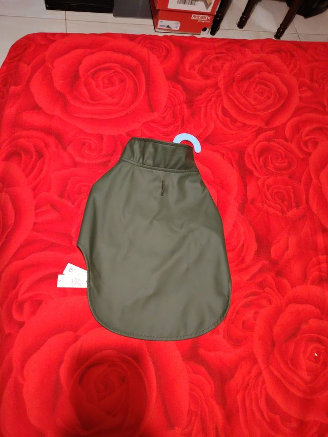 Chubasquero para mascota verde