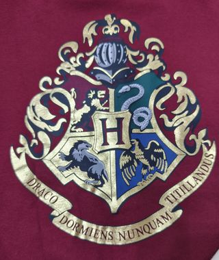 Bomber Harry Potter