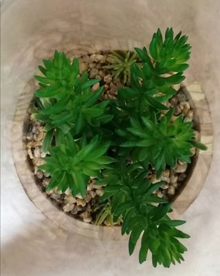 Adorno Decorativo Planta Artificial