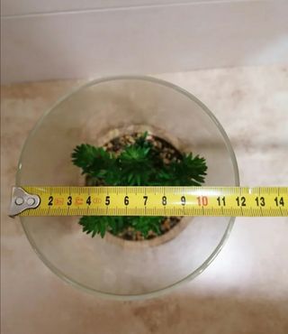 Adorno Decorativo Planta Artificial