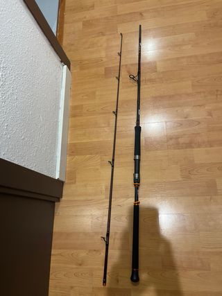Caña de pescar REXTAIL Catfish Spin 220