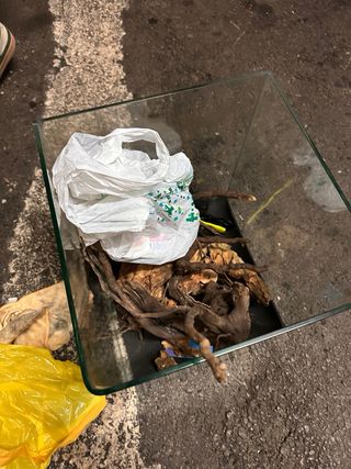 Acuario BLAU Cubic 38L + Accesorios + Rocas y Tron