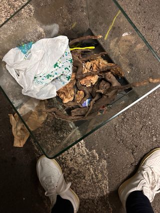 Acuario BLAU Cubic 38L + Accesorios + Rocas y Tron