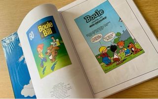 Libro “Boule & Bill. 1”