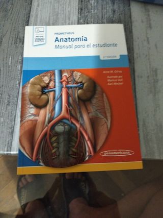PROMETHEUS. Anatomía