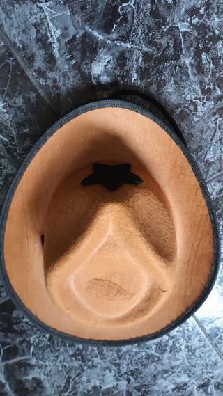 Sombrero de fieltro con estrella