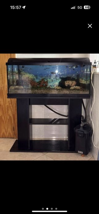 Pecera 150L con mueble
