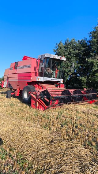 Cosechadora Massey Ferguson 30