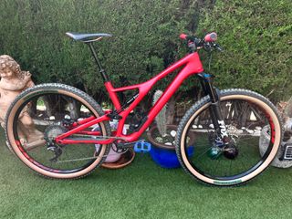 Bicicleta Specialized Stumpjumper doble Carbon 29