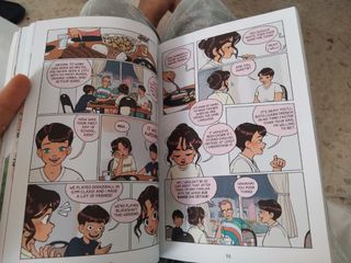 The New Girl: A Graphic Novel 