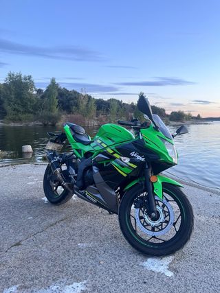 Kawasaki Ninja 125 Verde