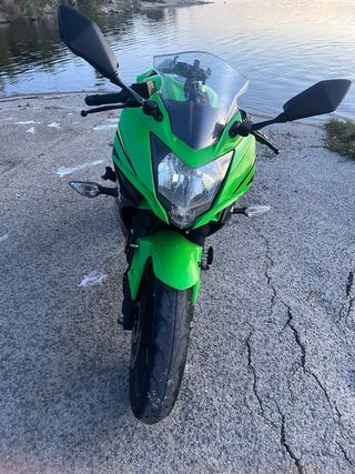 Kawasaki Ninja 125 Verde