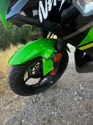Kawasaki Ninja 125 Verde