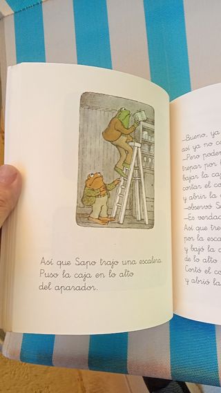 Sapo y sepo, inseparables. Libro como nuevo. Ganga