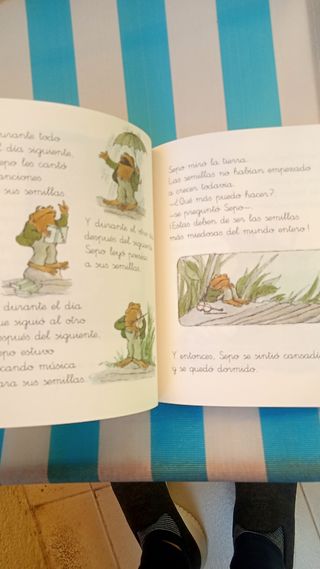 Sapo y sepo, inseparables. Libro como nuevo. Ganga