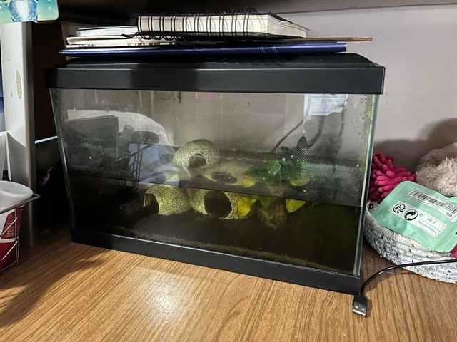 Acuario pequeño / Gambario