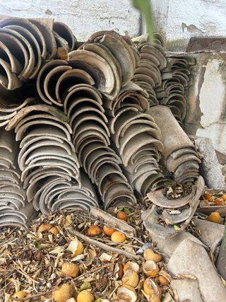 Tejas antiguas de barro a 1 € la teja