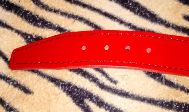 COLLAR PARA ANIMALES DE CUERO