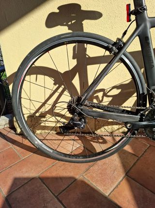 Bici da corsa carrera Erakle – taglia S/M (54 cm)