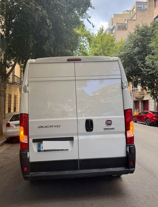 FIAT Ducato 2019
