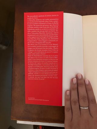 Vola via con me. Il nuovo romanzo di «Amici»